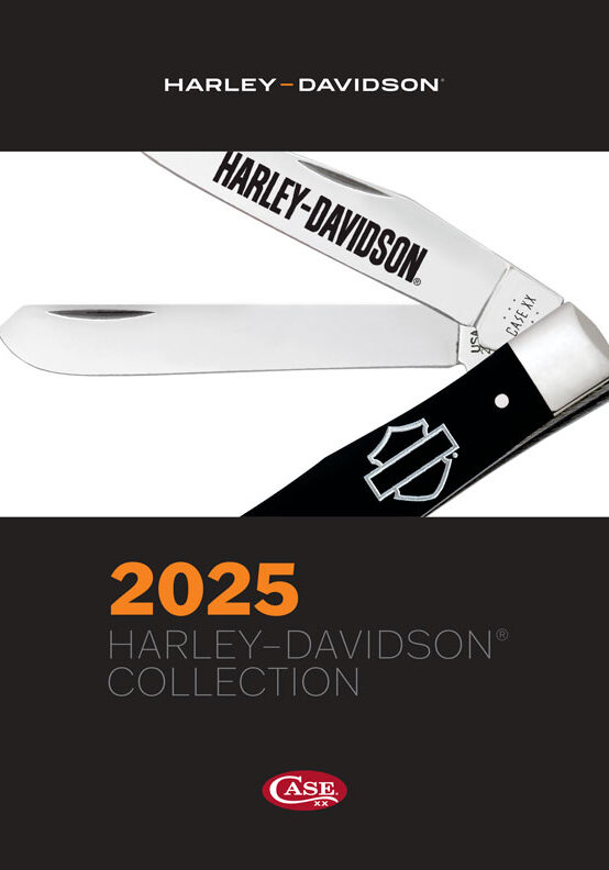 2025-Harley-Davidson